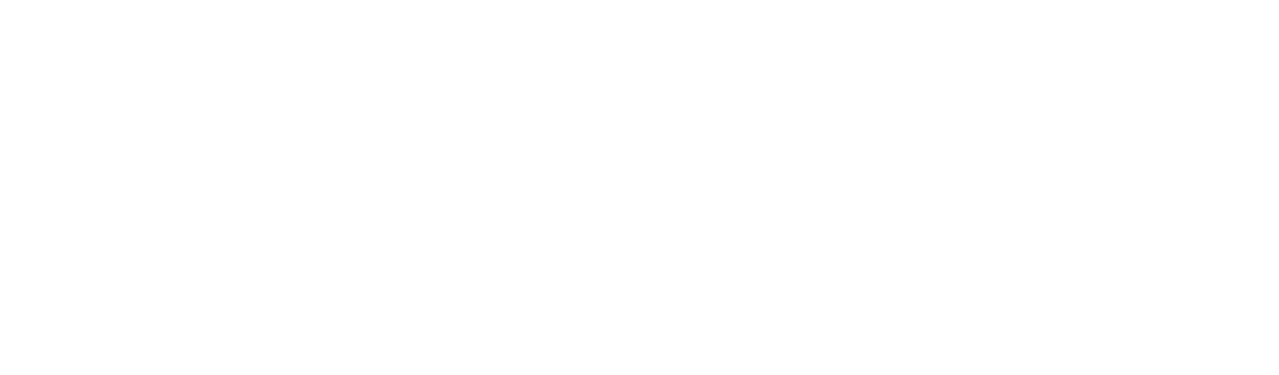 Welucci Pro